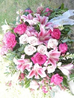 Picture of pink and white flowers