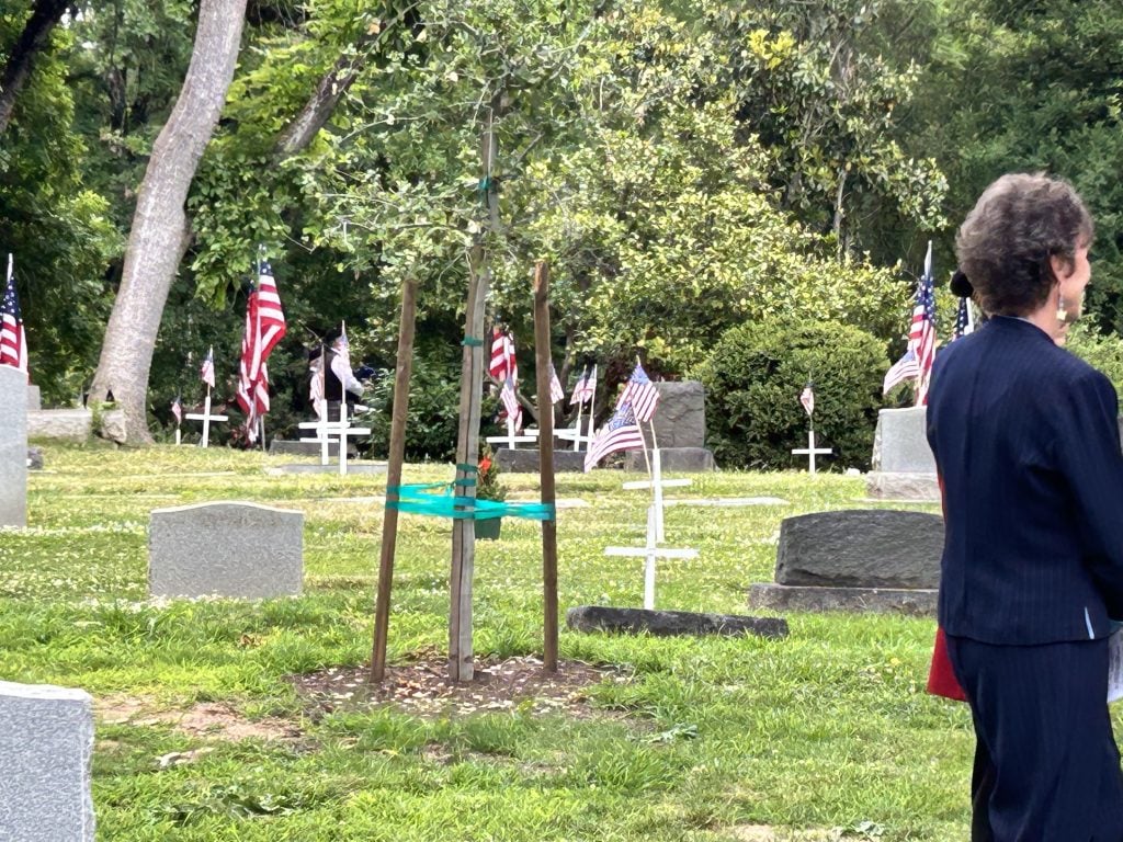 Cemetery with crosses and flags